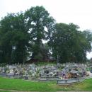 Cemetery in Czerteż and Church of the Transfiguration 2