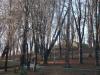 Adam Mickiewicz Park in Sanok 16