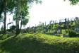 Cemetery in Falejówka