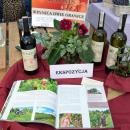 062 Weinsorten aus Nord-Vorkarpaten, Polen 2013