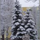 3 winter in sanok