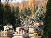 01311 Sanok cemetery, Kiczury 2011