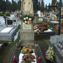 Grave of Tadeusz Radzik 2012b