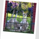 Gänse im Garten, Miedzybrodzie