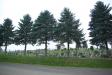 Cemetery in Strachocina 1