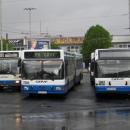 Autobusy gdynia