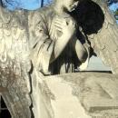 Der traurige Engel Statue in Zentralfriedhof in Sanok, 7